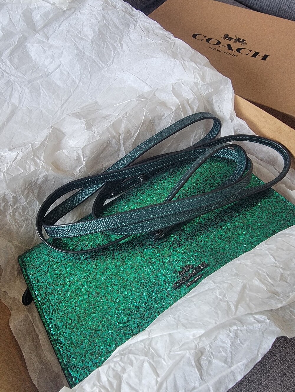 Coach Hayden Emerald Green Glitter Crossbody Clutch - Wizard of Oz - With Box
